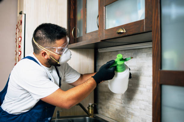 Best Local Pest Control Services  in Genoa, AR