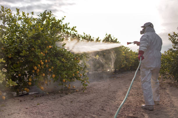 Best Pest Prevention Services  in Genoa, AR