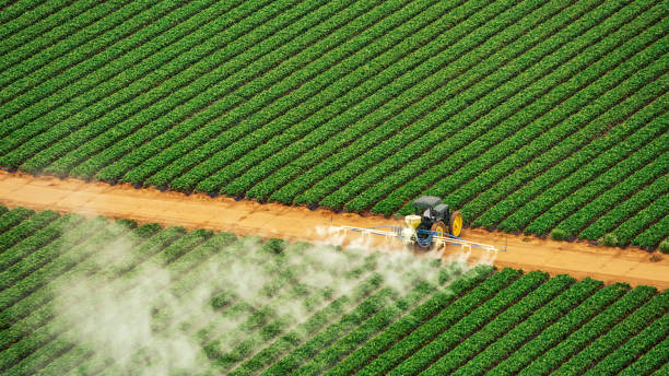 Best Pest Inspection Near Me  in Genoa, AR