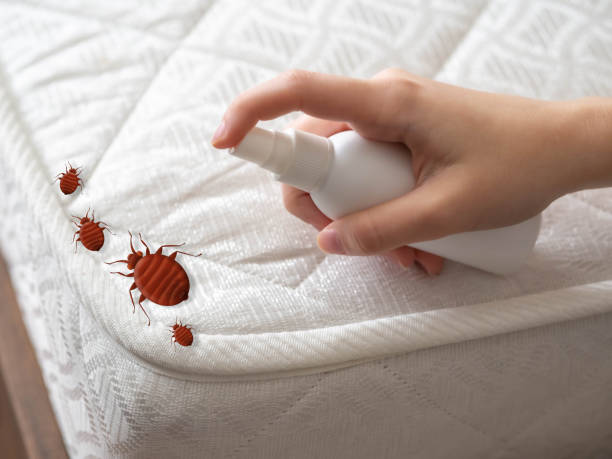 Best Exterminator Services  in Genoa, AR