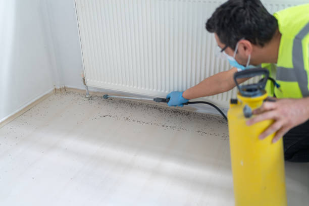 Best Bed Bug Extermination  in Genoa, AR