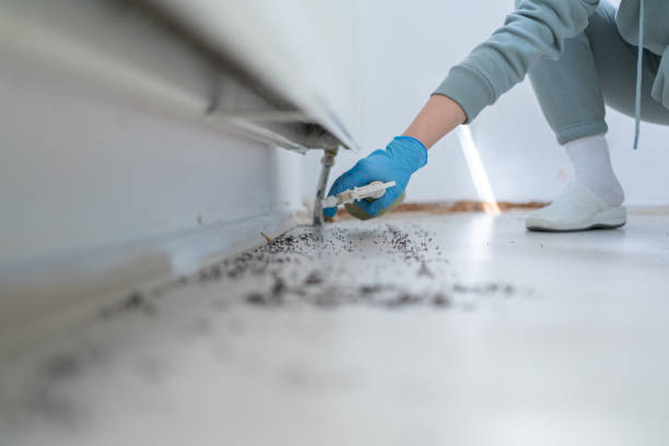 Best Wasp Removal Services  in Genoa, AR